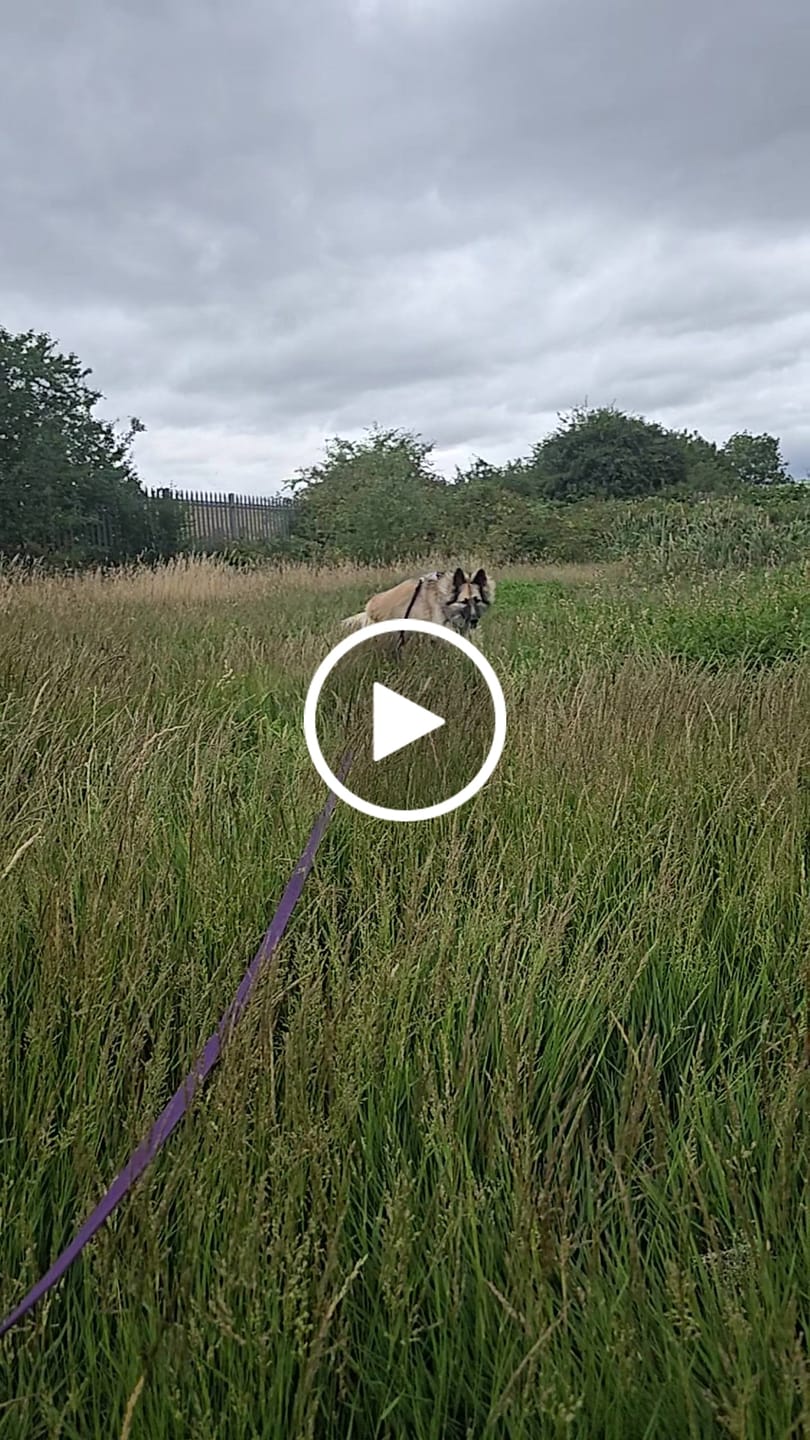 Customer video review of Tidal Waterproof Longline