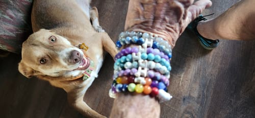 Karen W. review of STRĀ Dog Beaded Bracelet image 1 out of 1