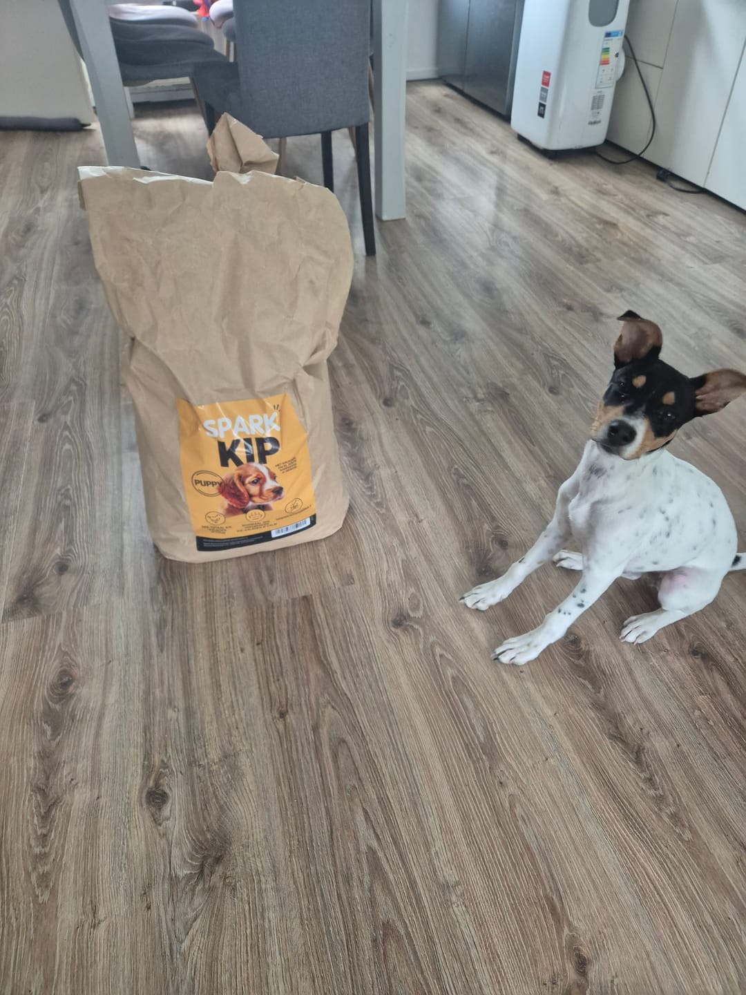 Customer photo review of Puppy - Kip met Kalkoen, Zalm, Zoete Aardappel & Wortel