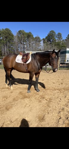 Customer photo review of Osteo-MAX » up to 29% Off