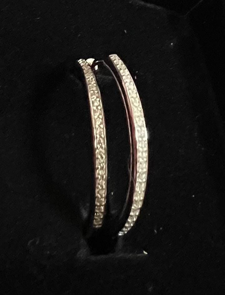 Customer photo review of Moissanite by Cate & Chloe Delaney 18k White Gold Plated 25mm 925 Sterling Silver Stud Earrings 0.23tcw