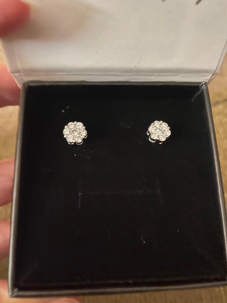 Customer photo review of Nova 18k White Gold Plated Stud Earrings with Simulated Diamond Crystals