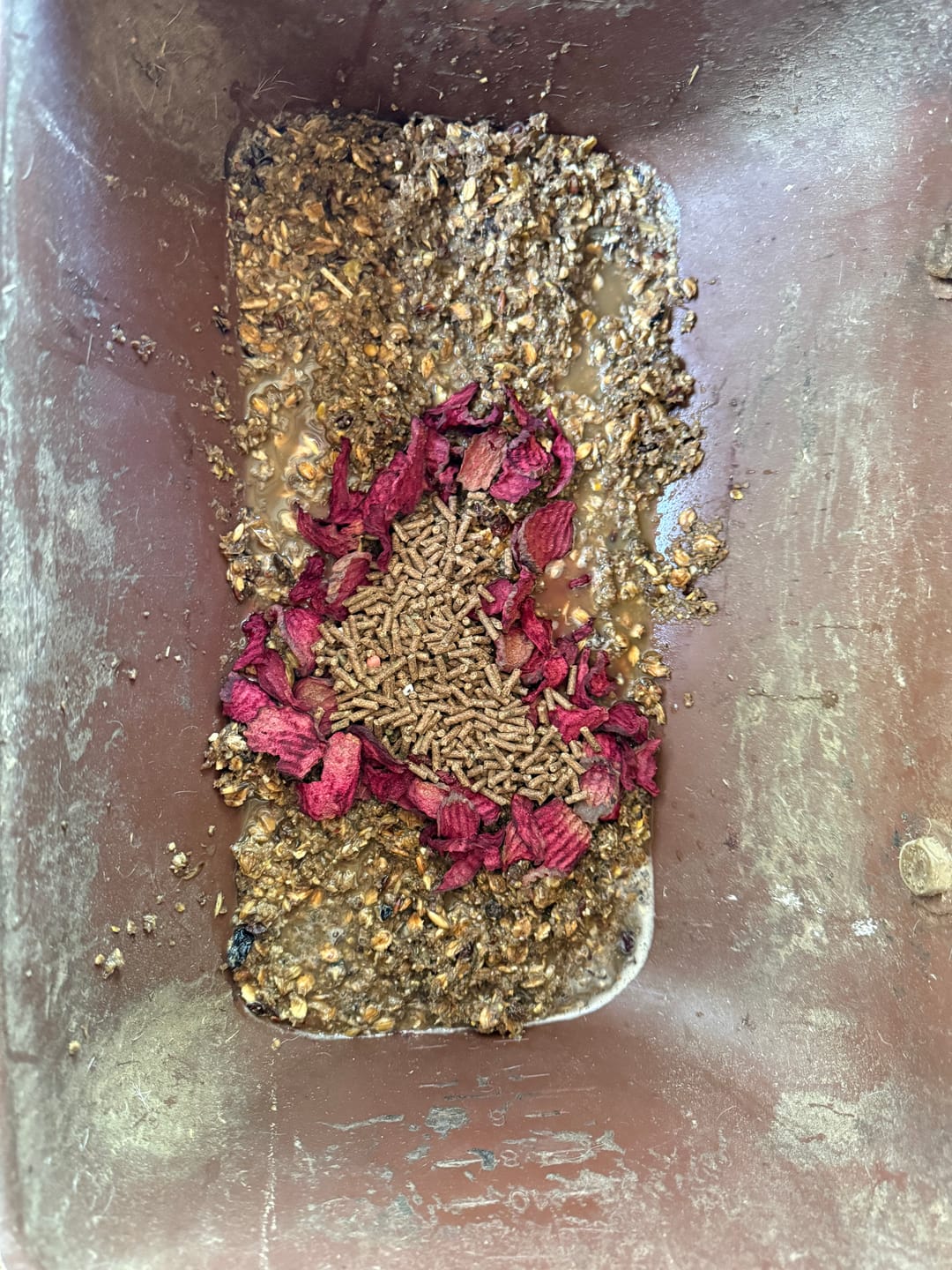Customer photo review of Rote Beete Chips