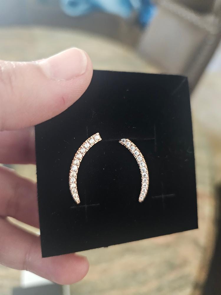 Customer photo review of Camila 18k White Gold Plated Ear Climber Earrings with Simulated Diamond Crystals