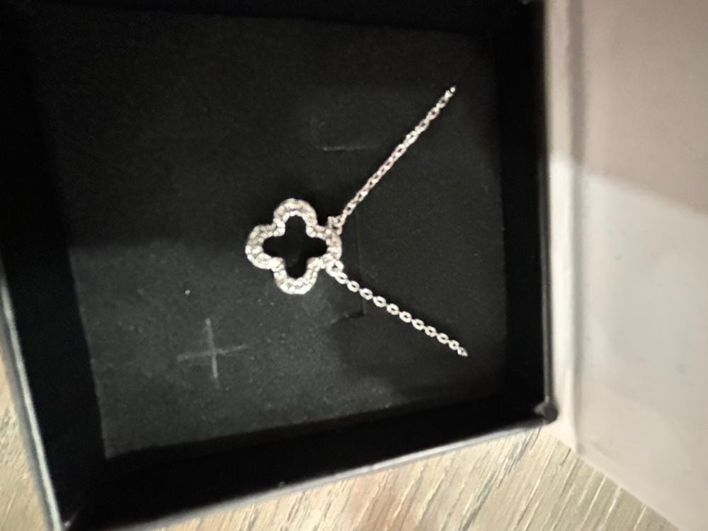 Customer photo review of Cassandra 18k White Gold Plated Necklace with Swarovski Crystals