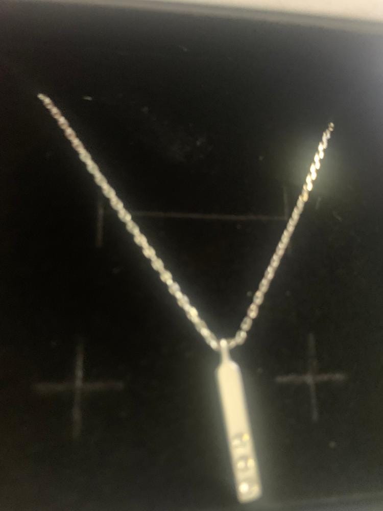 Customer photo review of Tessa 18k White Gold Plated Bar Necklace with Swarovski Crystals