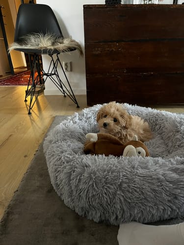 Customer photo review of CalmBed - Motverkar stress & hjälper mot ångest