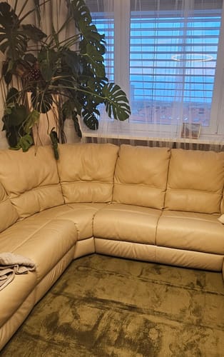 Customer photo review of Forest Green