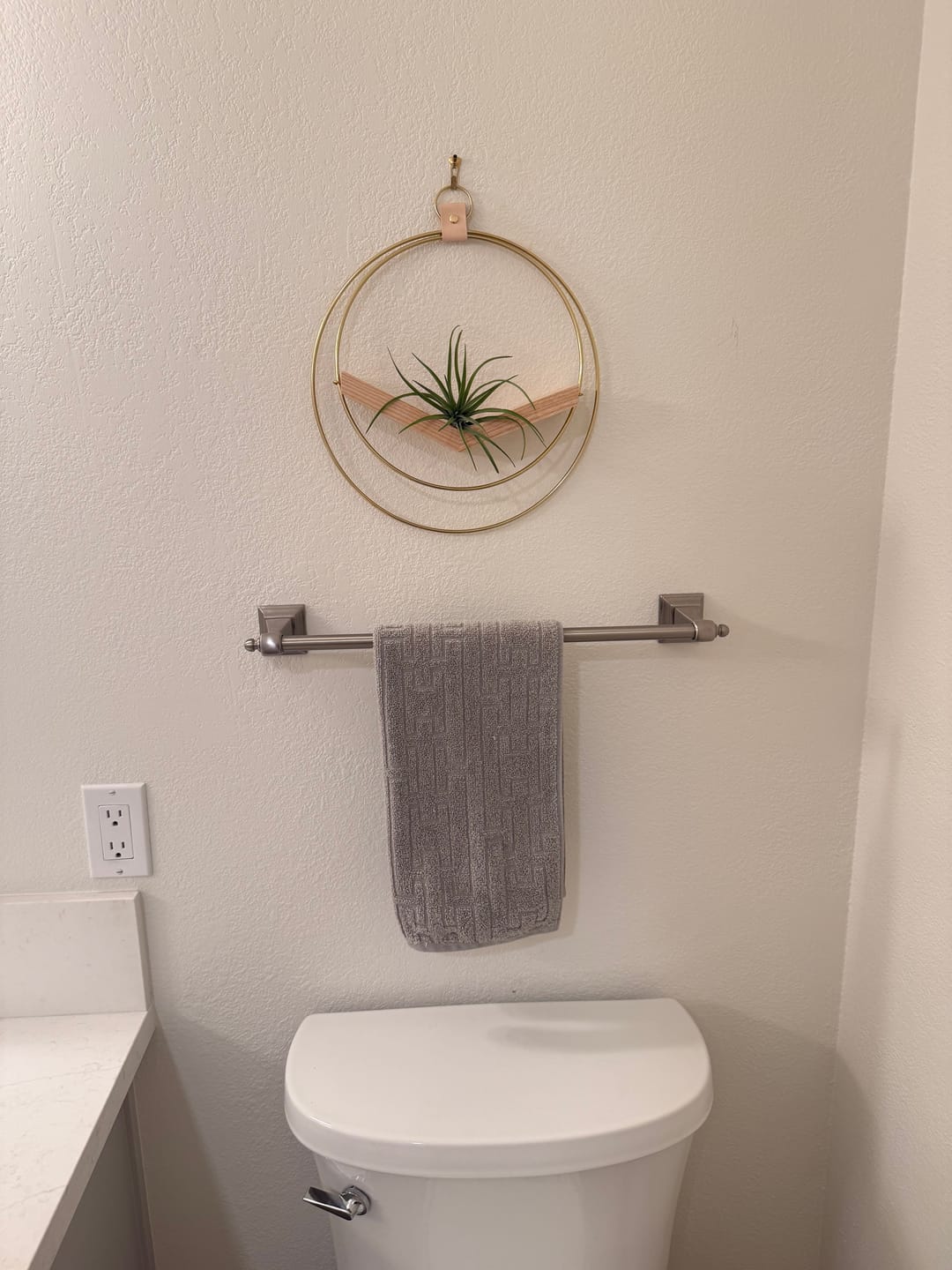 Customer photo review of Air Plant V-Hanger