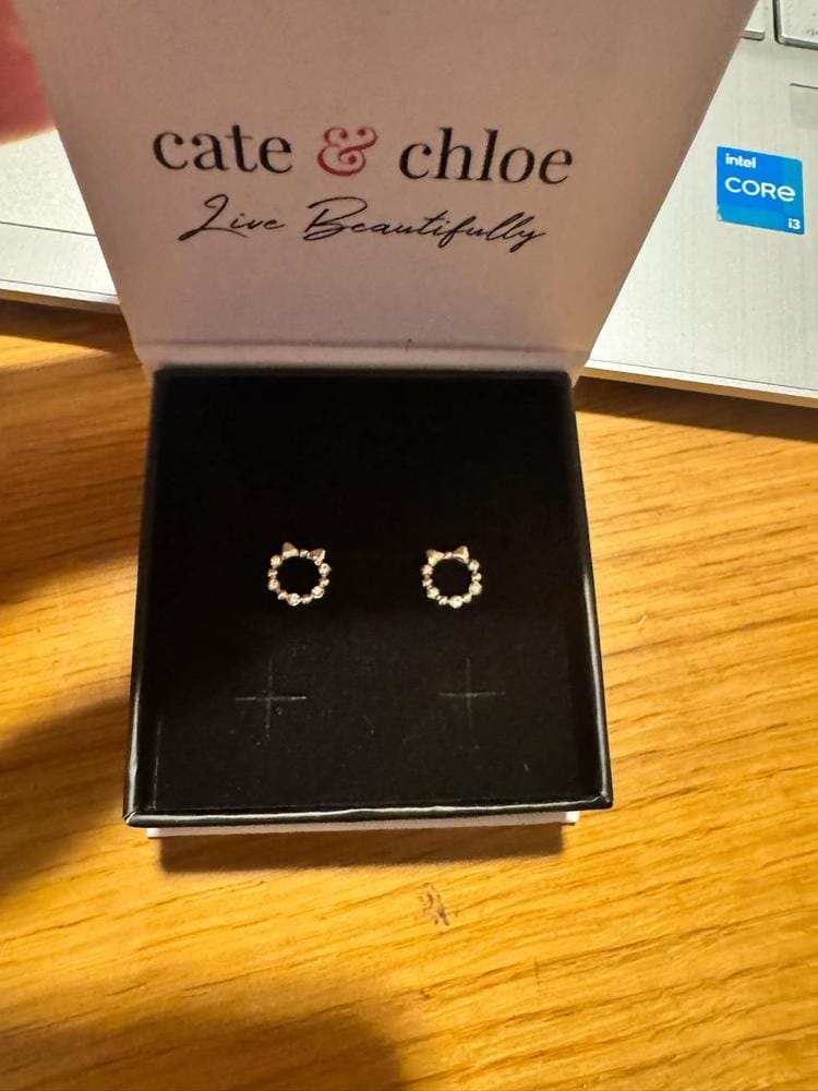 Customer photo review of Edith 18k White Gold Plated Silver Ribbon Stud Earrings with Swarovski Crystals