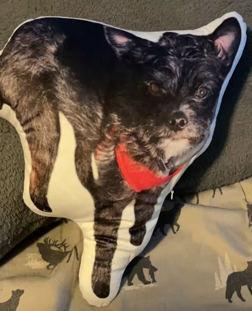 Customer photo review of Custom Dog Shaped Memorial Pillow for Pet Owners from Your Pet Picture