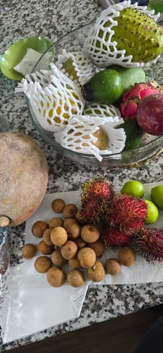 Customer photo review of Tropical Variety Box