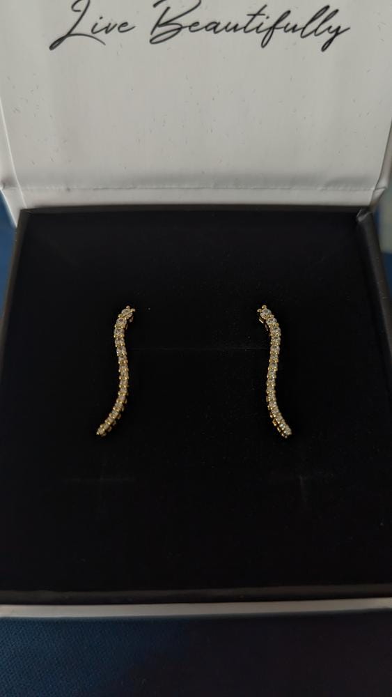 Customer photo review of Isabella 18k White Gold Plated Sterling Silver Ear Climber Earrings with Simulated Diamond Crystals
