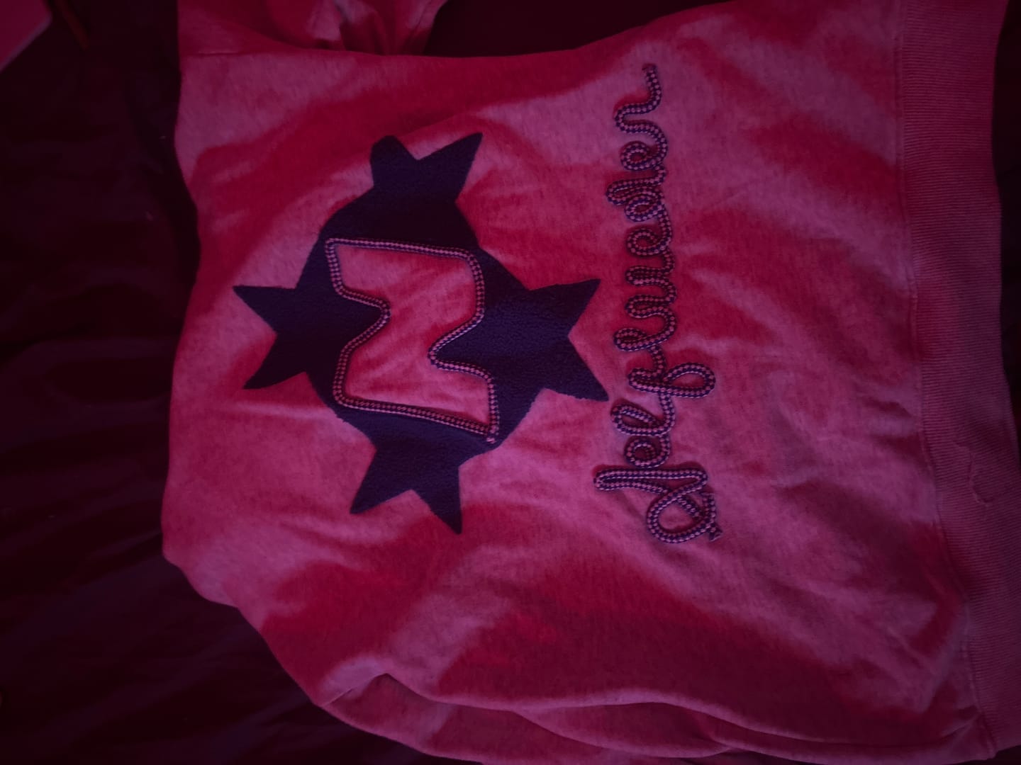 Customer photo review of Aelfric Eden Stellaris Embroidered Hoodie