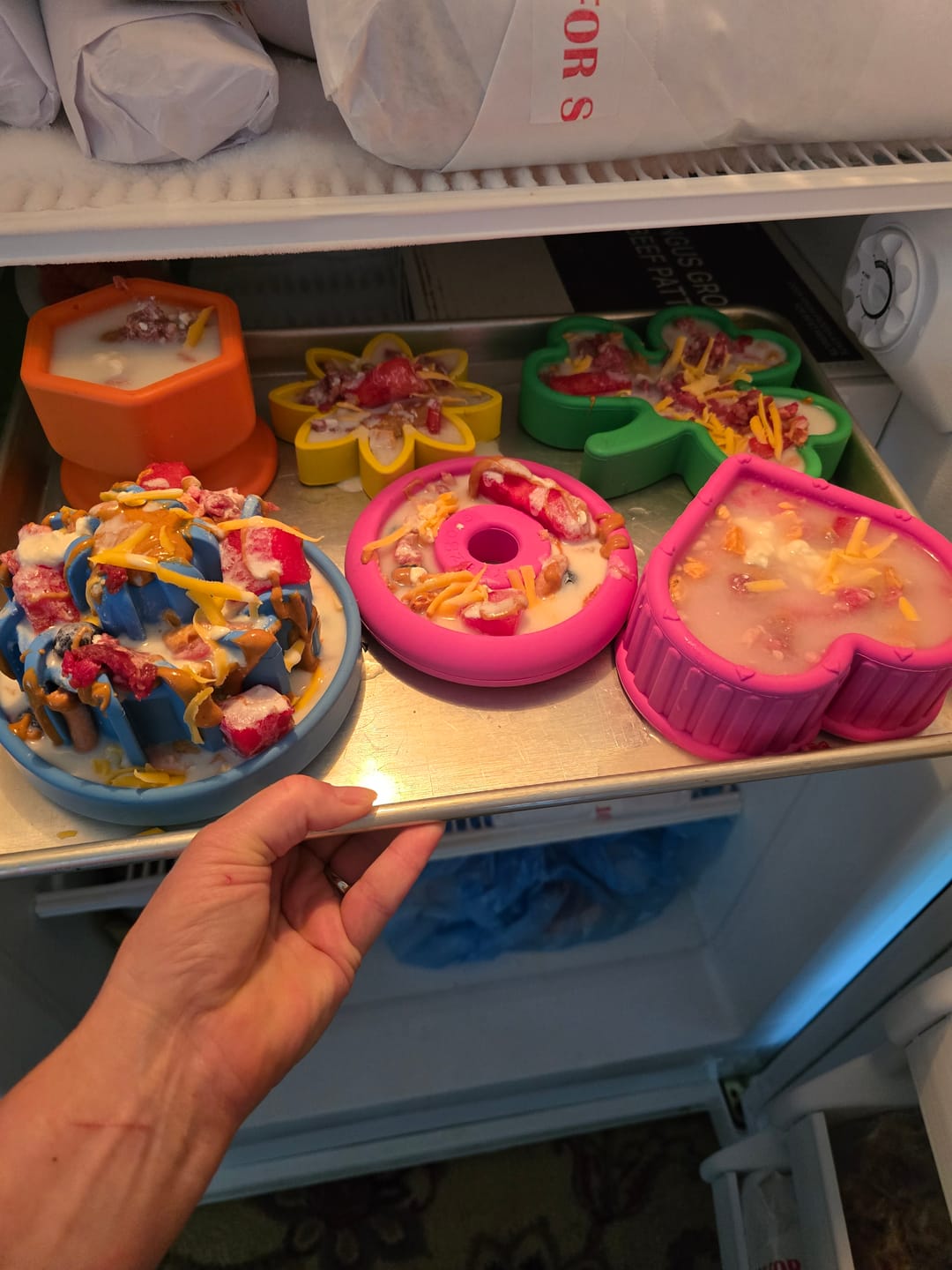 Customer photo review of FreezCup - Long-Lasting Chew Fun