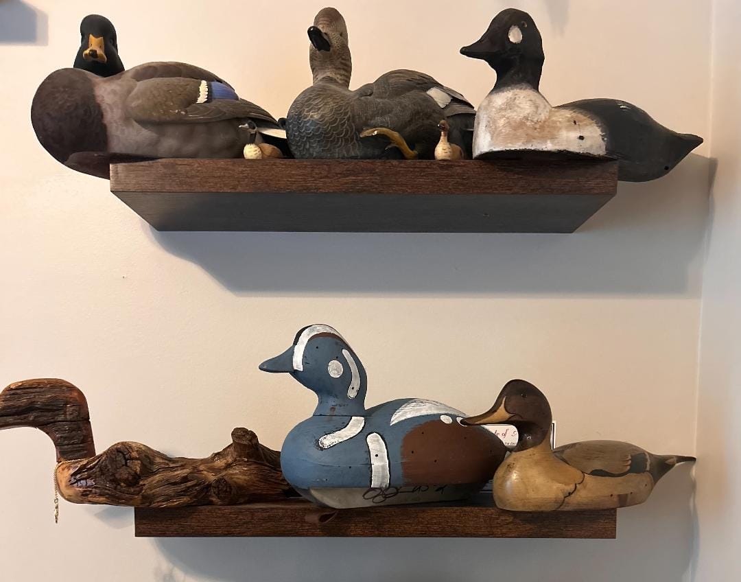 Customer photo review of Collectors Series Diver Decoys