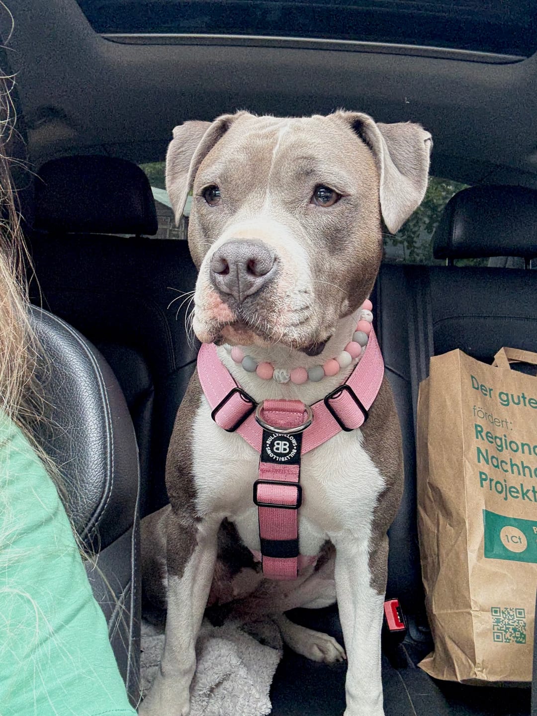 Customer photo review of Training Anti Pull TRI-Harness® | M-XL Breeds - Pink