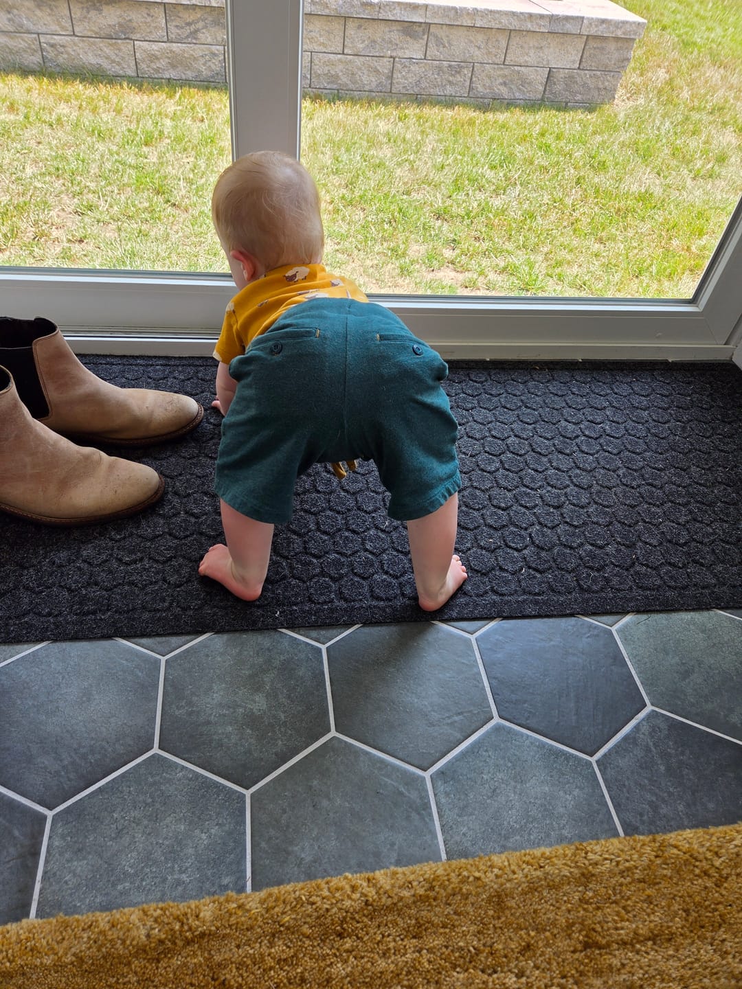 Customer photo review of June Bug Marl Comfy Jogger Shorts