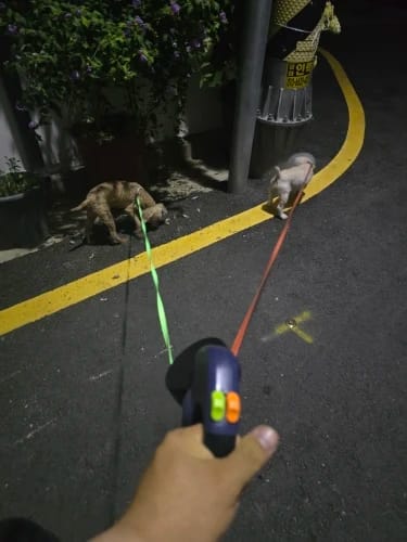 Customer photo review of TangleFree Duo™️ Retractable Double Dog Leash for small dogs