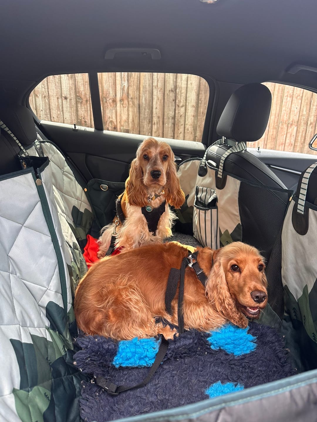 Customer photo review of Car Seat Cover - Walkies Ready® Forest Green