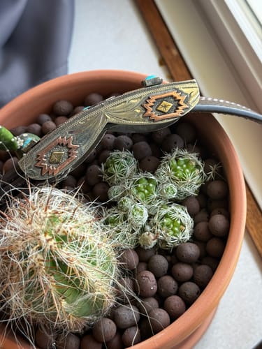 Customer photo review of Cheyenne Belt Buckle