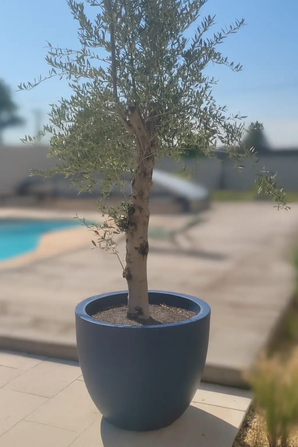 Customer photo review of Pot - Cuenco