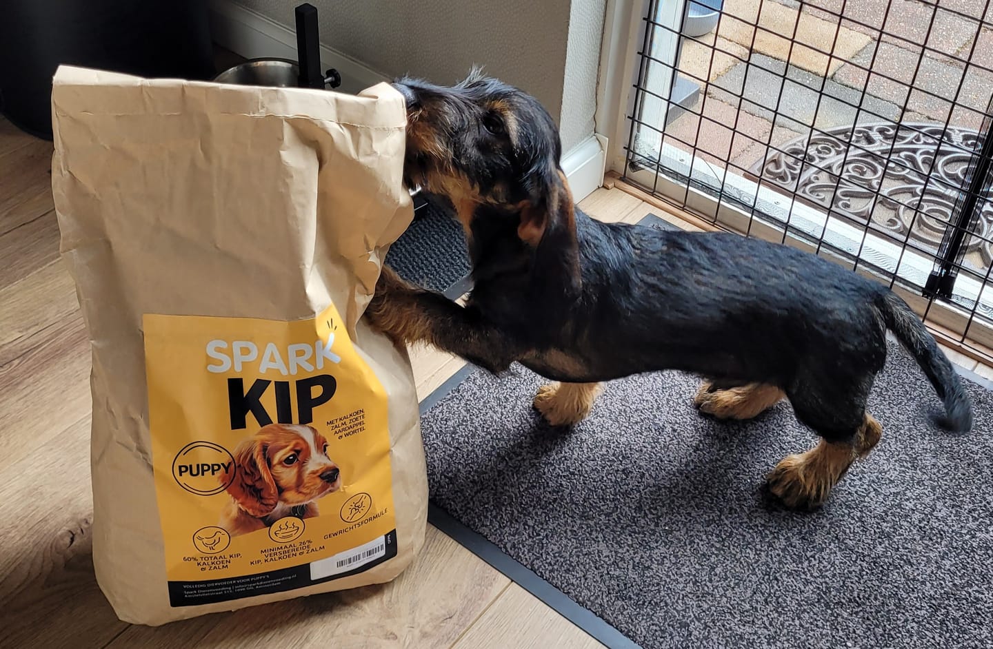 Customer photo review of Puppy - Kip met Kalkoen, Zalm, Zoete Aardappel & Wortel