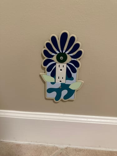 Customer photo review of Daisy Vision Outlet Cover