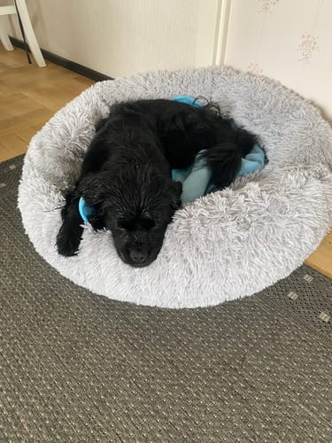 Customer photo review of CalmBed - Motverkar stress & hjälper mot ångest