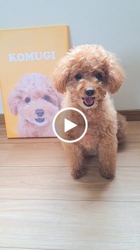 Customer video review of Petcanvaオーダーメイド ペット似顔絵