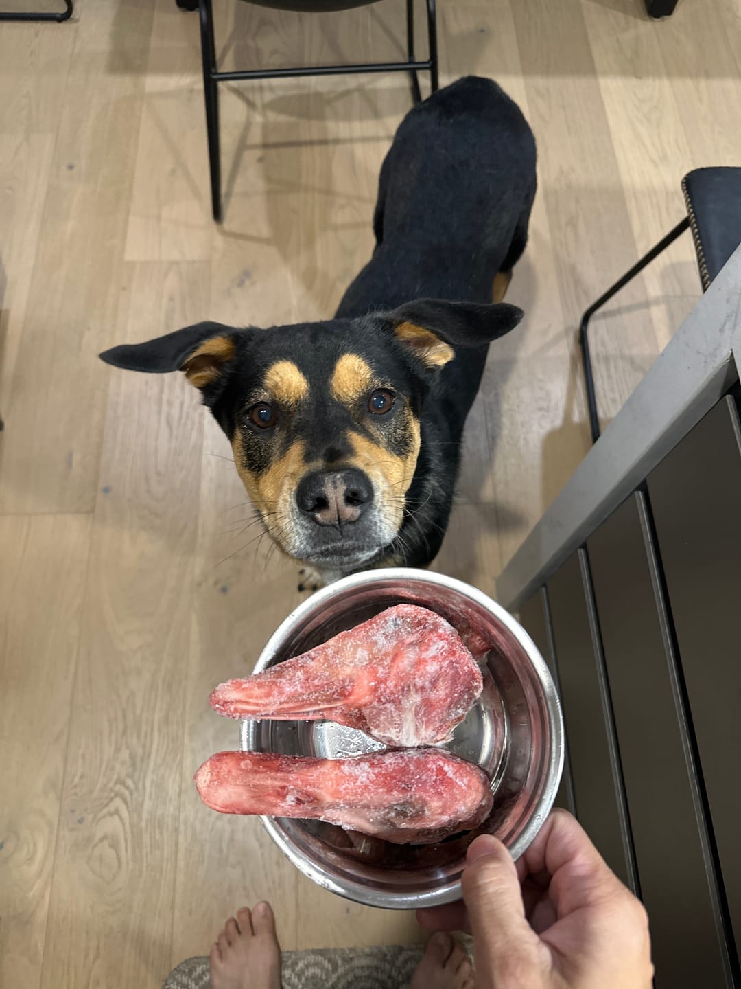 Customer photo review of Duck Heads (5 per Pack)