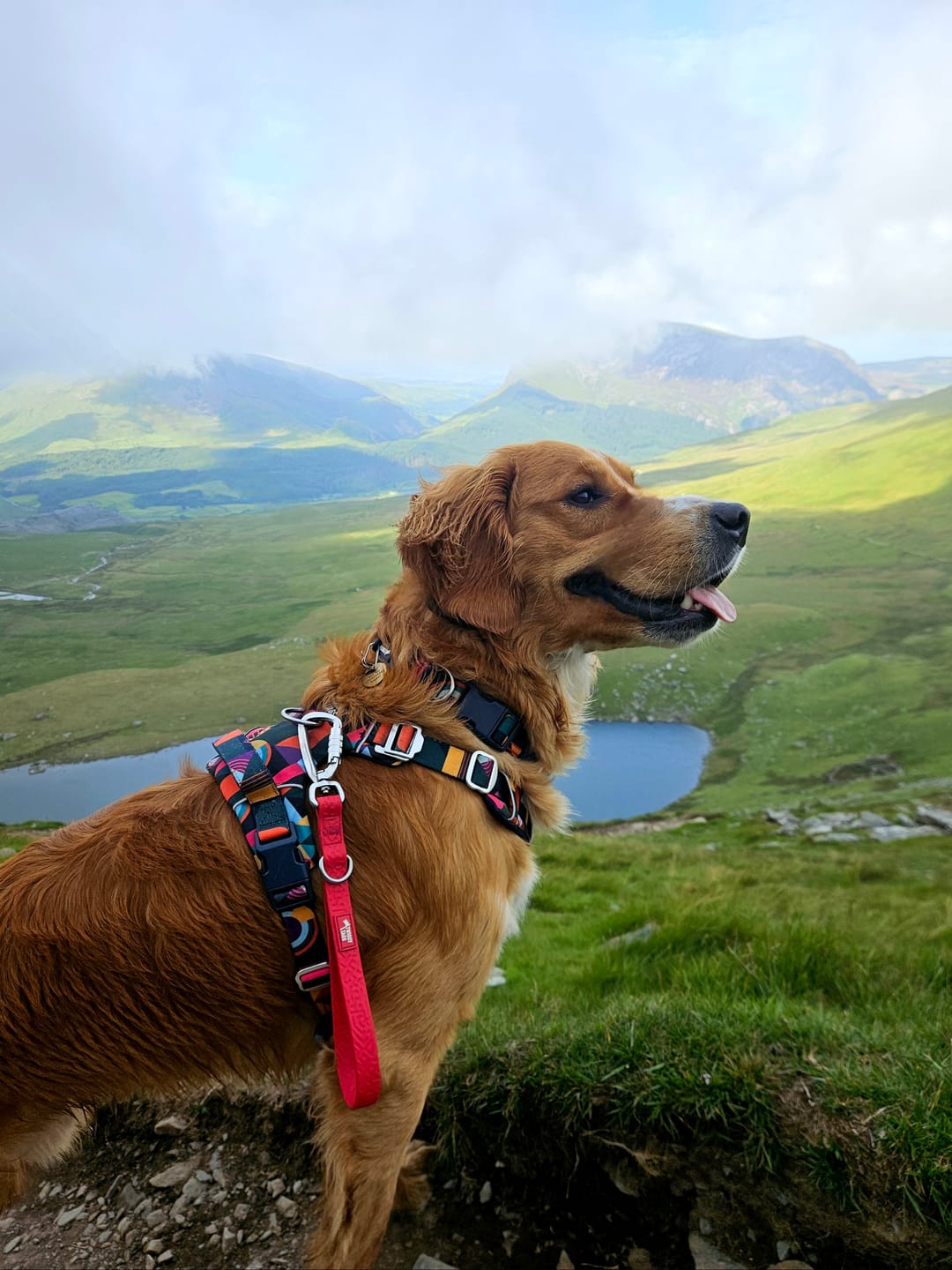 Customer photo review of Tidal Waterproof Grab Handle