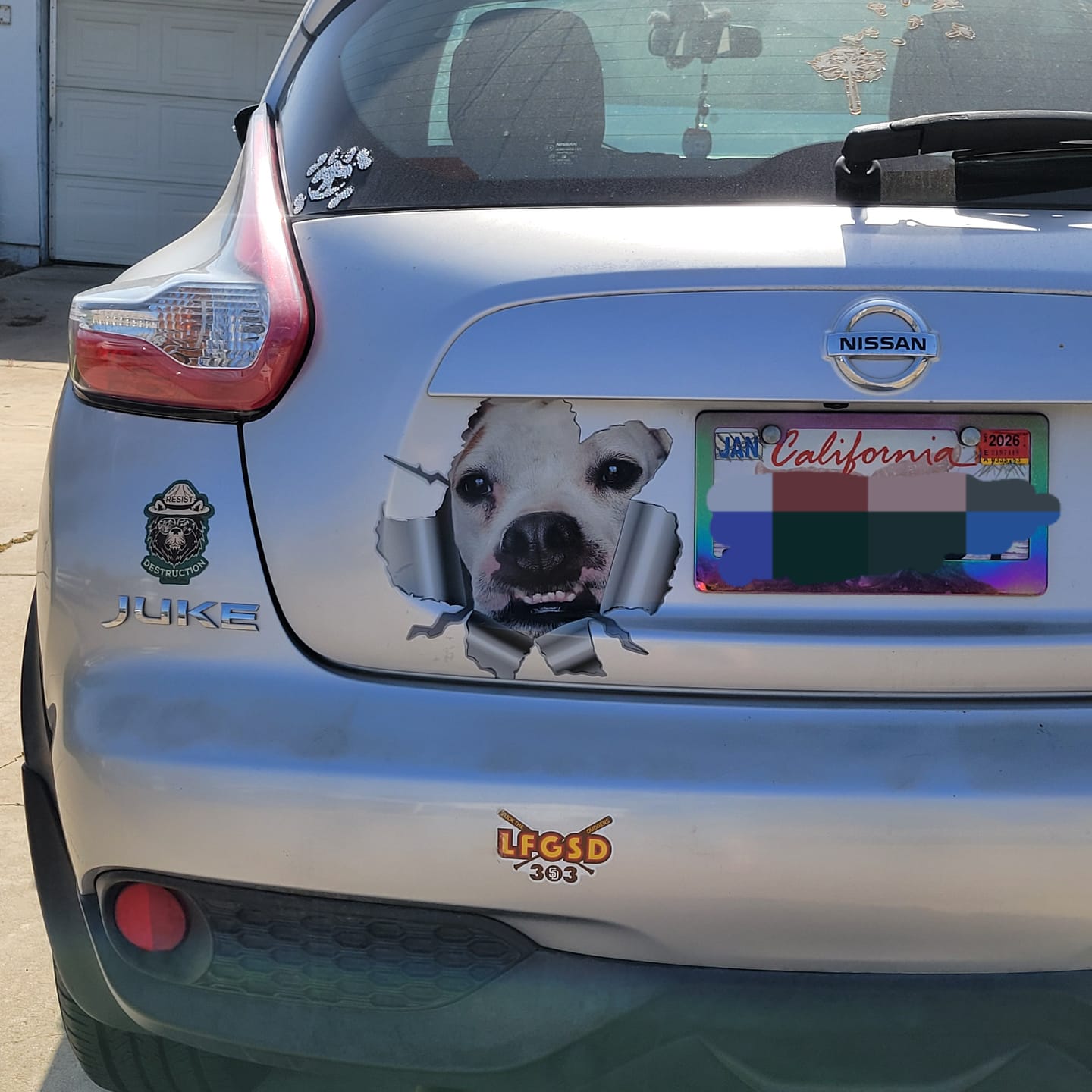 Customer photo review of Peeking photo – Personalized Car Sticker