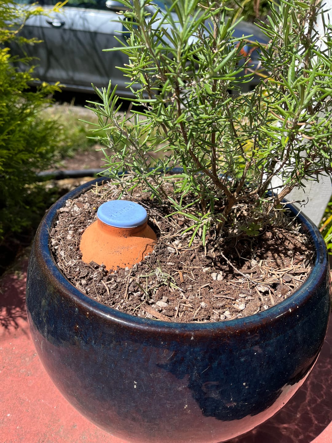 Customer photo review of Oya™ Watering Spike