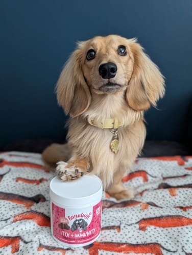 Customer photo review of Itch & Immunity Supplement Chews for Dogs