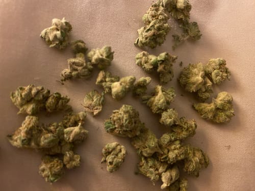 Customer photo review of Oreoz - 28 Grams - Minis (Hybrid)