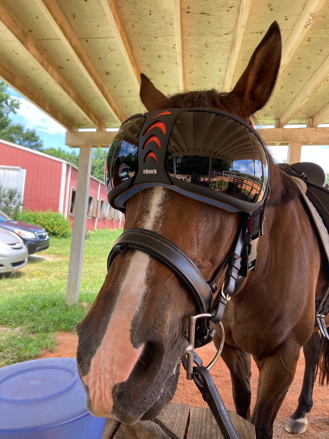 Customer photo review of eVysor - UV Horse Riding Goggles!