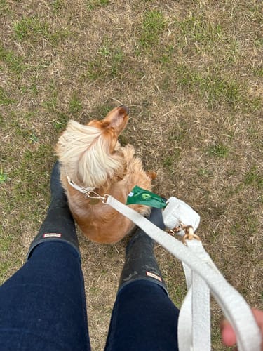 Customer photo review of Marshmallow┃Bouclé Poop Bag Holder