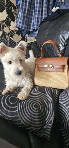 Customer photo review of The Kate Bag Raffia - Medium