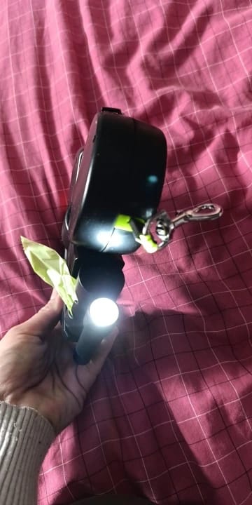 Customer photo review of TangleFree Duo™️ Retractable Double Dog Leash for small dogs