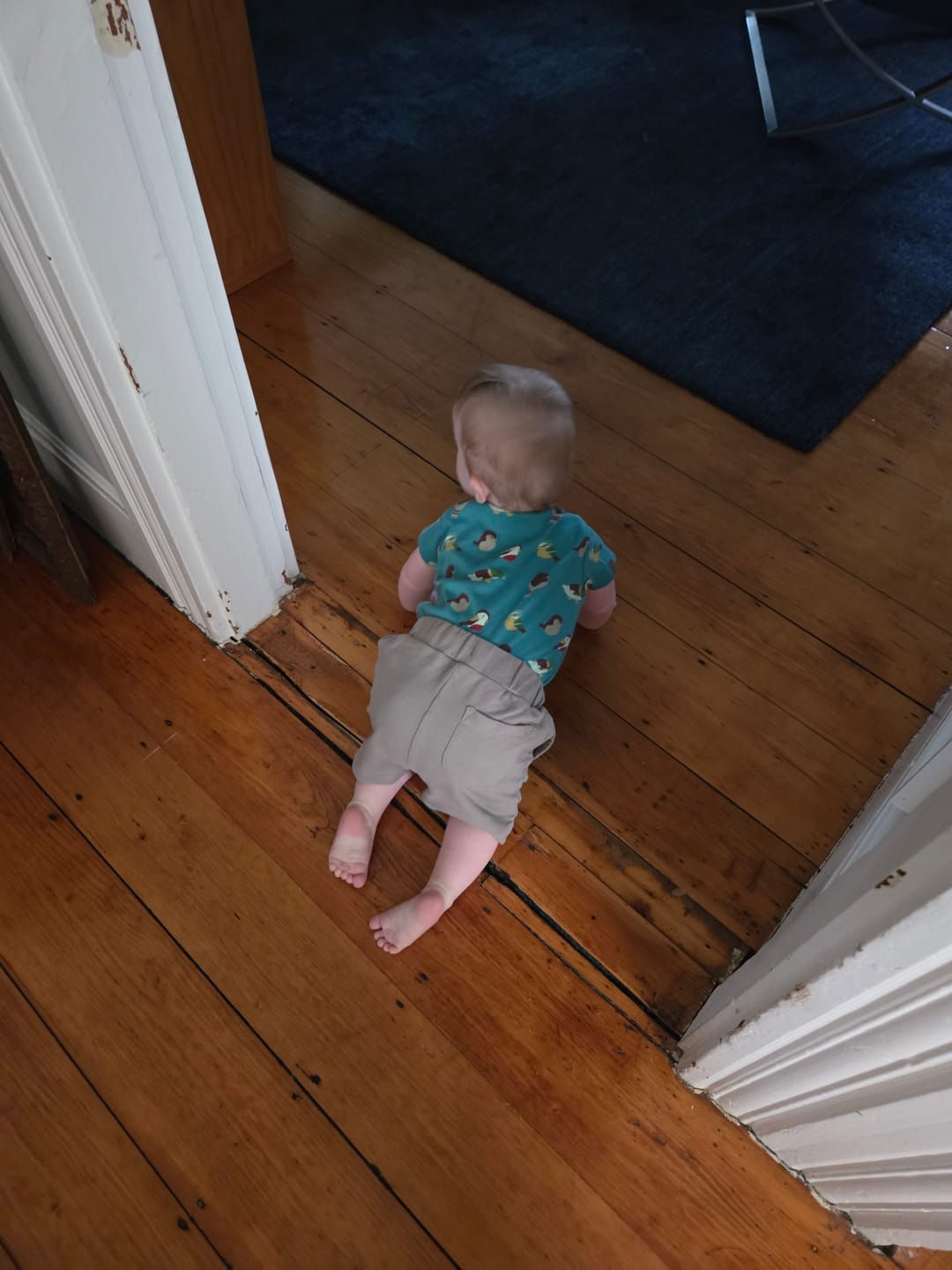 Customer photo review of Garden Birds Organic Baby Bodysuit Set - 2 Pack
