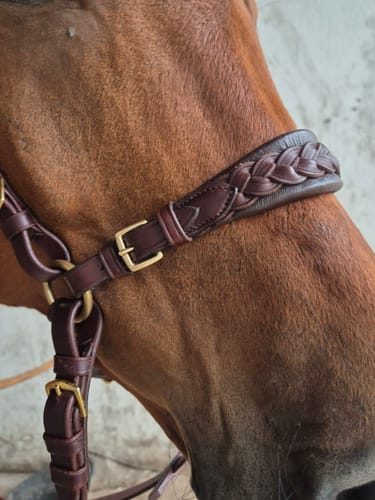 Customer photo review of Braided noseband for hackamore Bridle