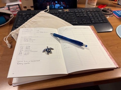 Customer photo review of Mystery Book Bag