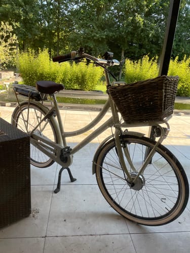 Customer photo review of E-Cargo N7
