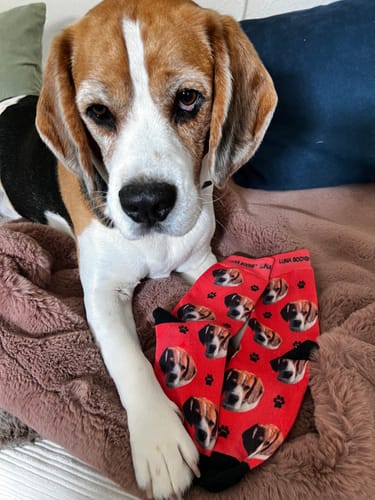 undefined review of Personalisierte Socken mit deinem Haustier image 1 out of 2