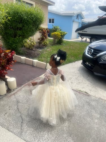 Customer photo review of Baby Girl Flower Dress Girl Princess Dress Stars Sequins Baptism Birthday Party Dress