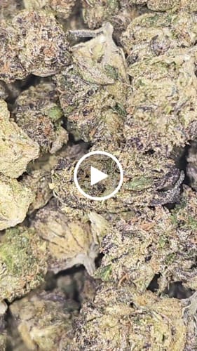 Customer video review of Lemon Cherry Gelato THCA Flower