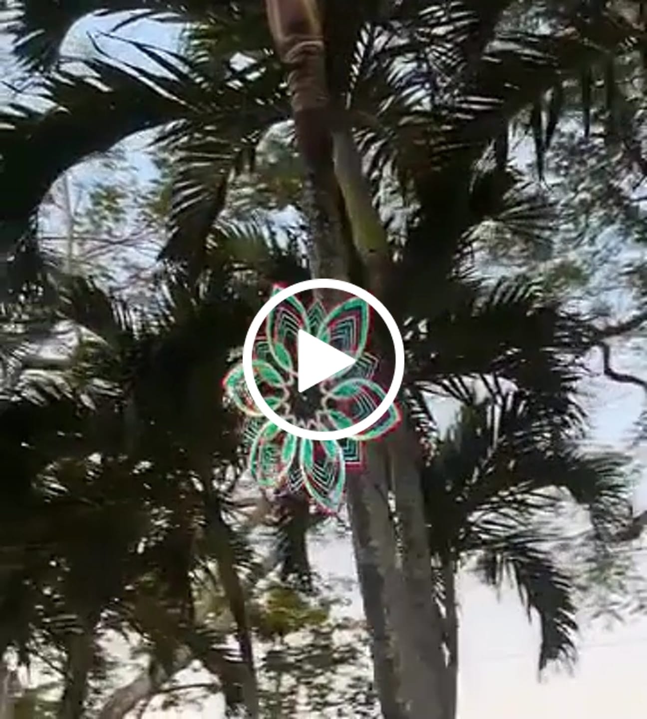 Customer video review of L4 Holographic Fan 25.5"