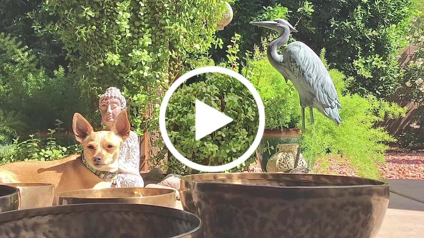 Customer video review of Jambati Tibetan Singing Bowl HW29- 9", D3 & G#4.