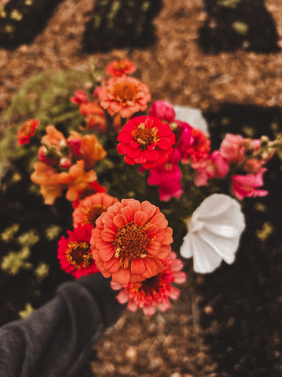 Customer photo review of The Autumn Film Preset Collection